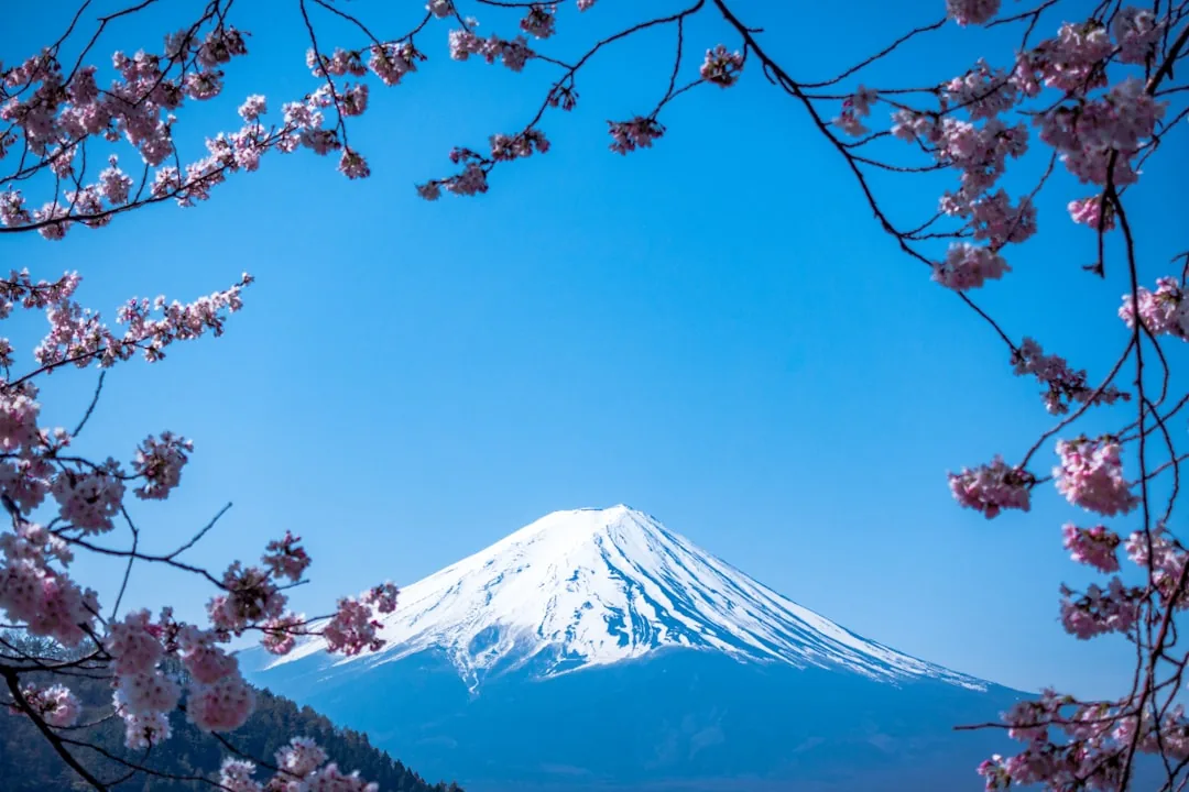 日本の季節